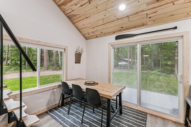 47235 184th Ave, Mcgregor, MN 55760 - dining space featuring plenty of natural light, wooden ceiling, wood finished floors, and lofted ceiling