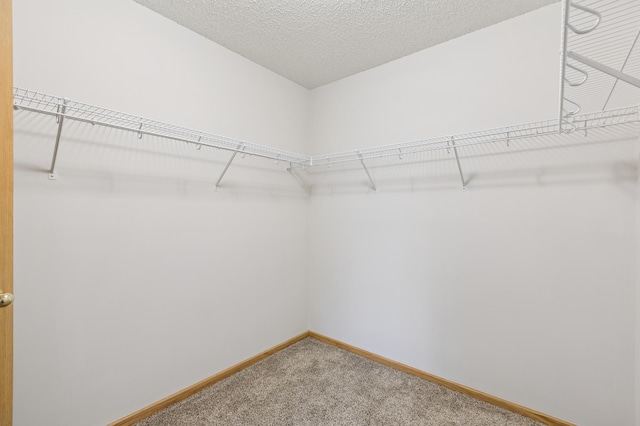 17128 Olson St NW Unit 2508, Elk River, MN 55330 - walk in closet with carpet