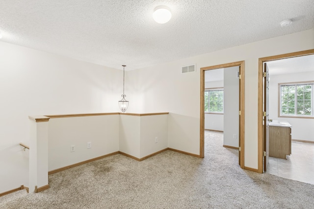 17128 Olson St NW Unit 2508, Elk River, MN 55330 - spare room with light colored carpet, a textured ceiling, and a smoke detector