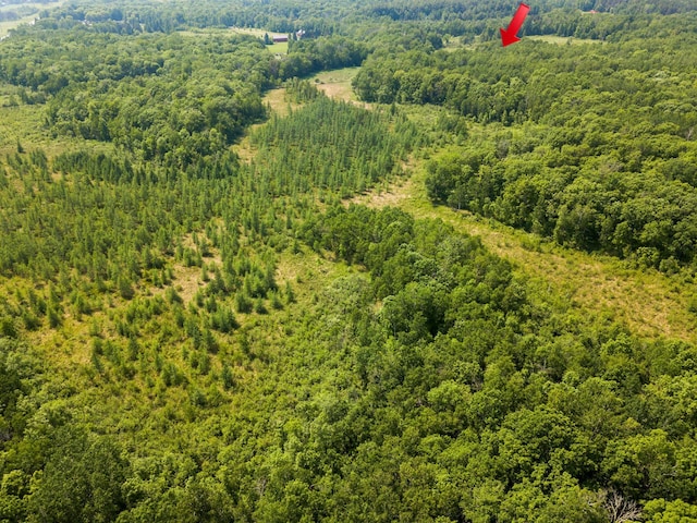 24504 State Highway 18, Bay Lake Twp, MN 56444