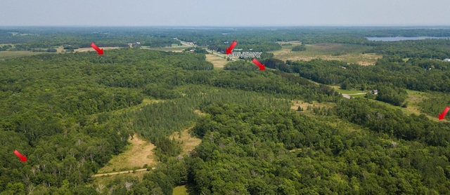 24504 State Highway 18, Bay Lake Twp, MN 56444