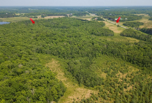 24504 State Highway 18, Bay Lake Twp, MN 56444