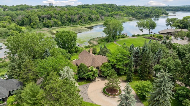 6541 Beach Rd, Eden Prairie, MN 55344 - aerial view of a nearby body of water and a heavily wooded area