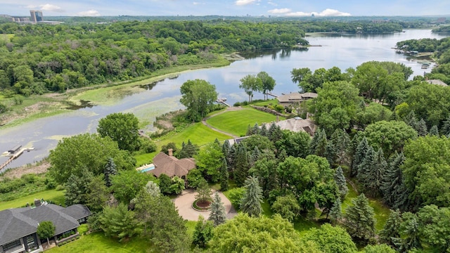 6541 Beach Rd, Eden Prairie, MN 55344 - aerial view of a large body of water and a forest
