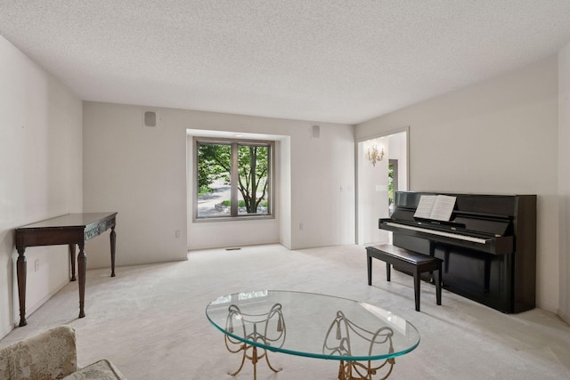 6541 Beach Rd, Eden Prairie, MN 55344 - sitting room with carpet floors and a textured ceiling