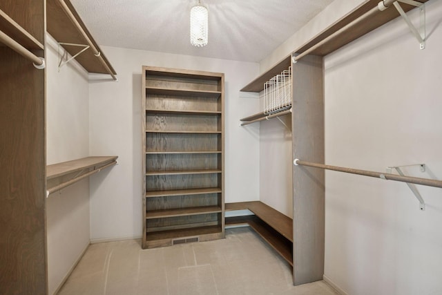 6541 Beach Rd, Eden Prairie, MN 55344 - view of spacious closet