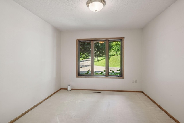 6541 Beach Rd, Eden Prairie, MN 55344 - unfurnished room with light colored carpet and a textured ceiling