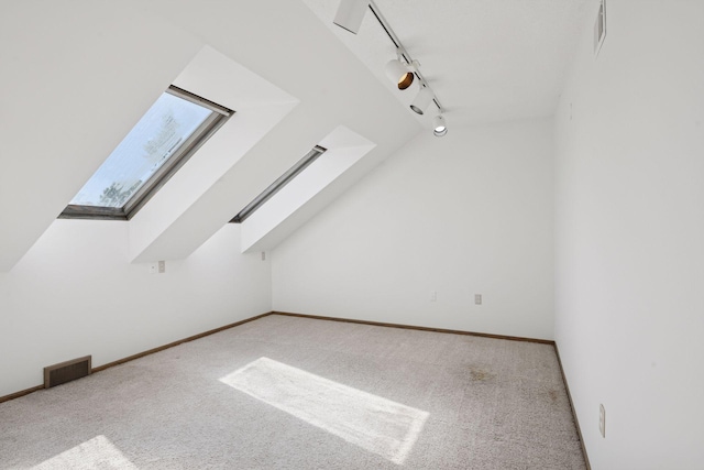 6541 Beach Rd, Eden Prairie, MN 55344 - bonus room with a skylight and carpet flooring