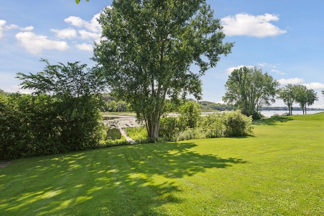 6541 Beach Rd, Eden Prairie, MN 55344 - view of grassy yard featuring a water view