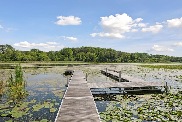 6541 Beach Rd, Eden Prairie, MN 55344 - dock featuring a water view and a forest view