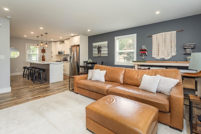 202 Park St, Alexandria, MN 56308 - living room featuring healthy amount of natural light, recessed lighting, light wood-type flooring, and light colored carpet