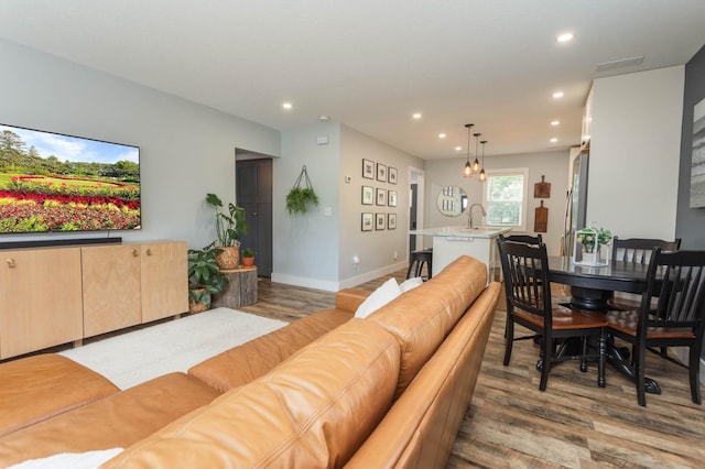 202 Park St, Alexandria, MN 56308 - living room featuring wood finished floors and recessed lighting