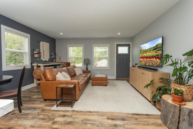 202 Park St, Alexandria, MN 56308 - living area featuring wood finished floors and recessed lighting