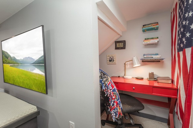 202 Park St, Alexandria, MN 56308 - office space with a water view and carpet flooring