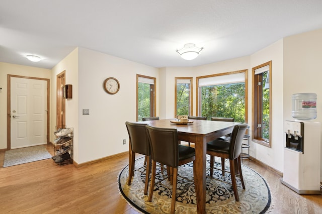 8011 County Road 13 SE, Delano, MN 55328 - dining space with light wood finished floors and baseboards