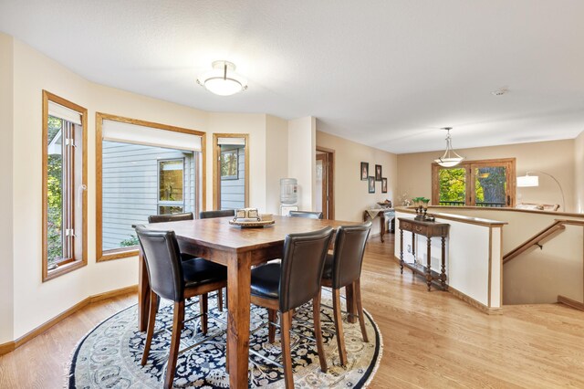 8011 County Road 13 SE, Delano, MN 55328 - dining space with light wood-type flooring and baseboards