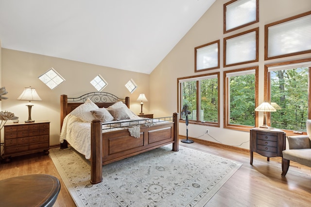8011 County Road 13 SE, Delano, MN 55328 - bedroom featuring high vaulted ceiling and light wood finished floors