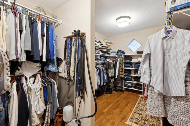 8011 County Road 13 SE, Delano, MN 55328 - spacious closet with wood finished floors