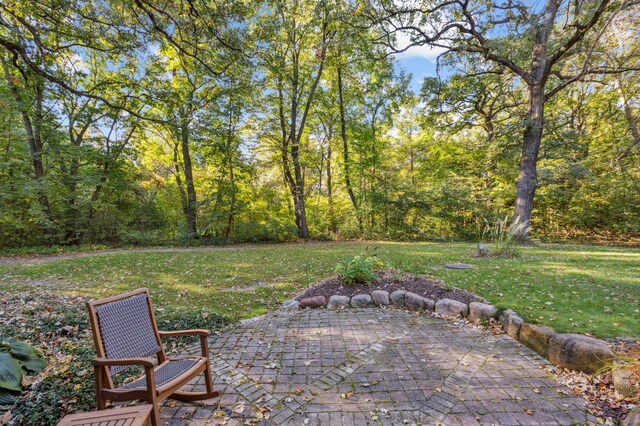 8011 County Road 13 SE, Delano, MN 55328 - view of patio / terrace