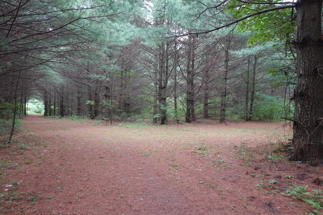 6XX US Highway 8, Apple River Twp, WI 54001