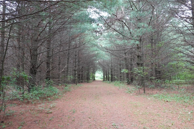 6XX US Highway 8, Apple River Twp, WI 54001