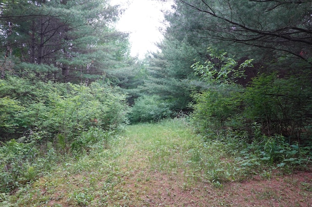 6XX US Highway 8, Apple River Twp, WI 54001