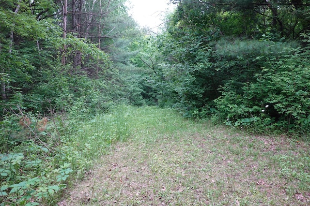 6XX US Highway 8, Apple River Twp, WI 54001