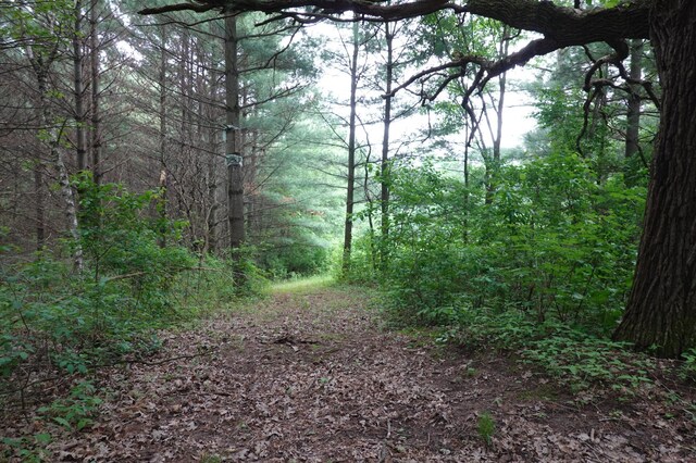 6XX US Highway 8, Apple River Twp, WI 54001