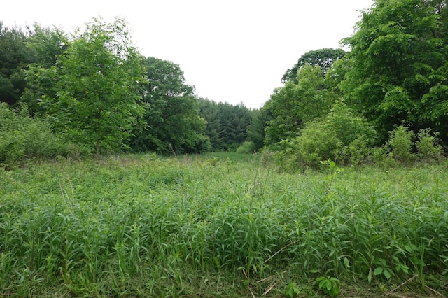6XX US Highway 8, Apple River Twp, WI 54001