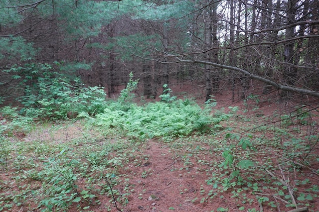 6XX US Highway 8, Apple River Twp, WI 54001