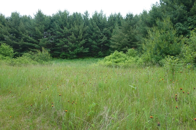 6XX US Highway 8, Apple River Twp, WI 54001