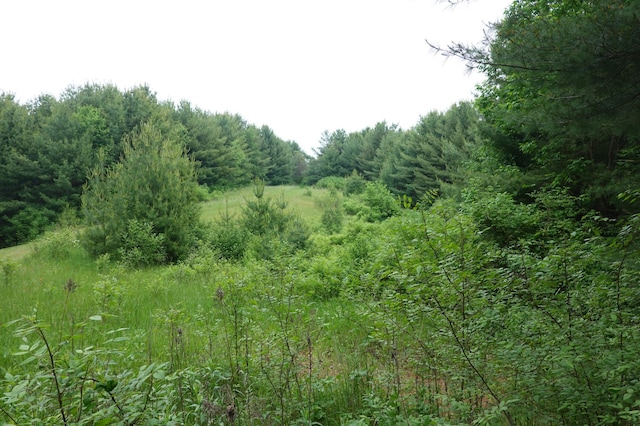 6XX US Highway 8, Apple River Twp, WI 54001