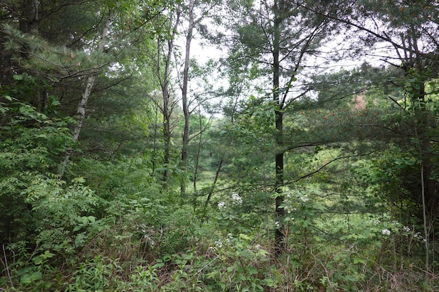 6XX US Highway 8, Apple River Twp, WI 54001