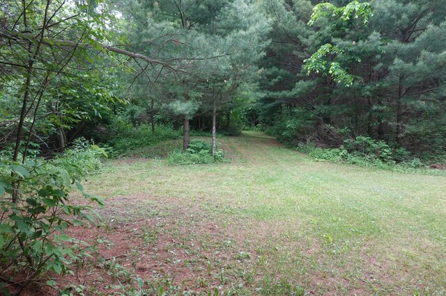 6XX US Highway 8, Apple River Twp, WI 54001