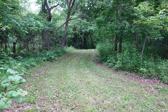 6XX US Highway 8, Apple River Twp, WI 54001