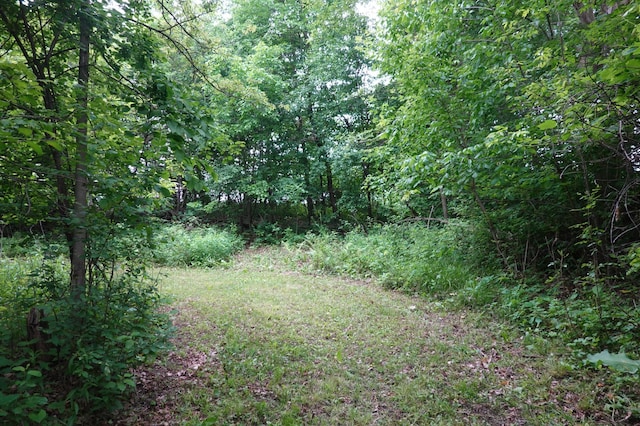 6XX US Highway 8, Apple River Twp, WI 54001