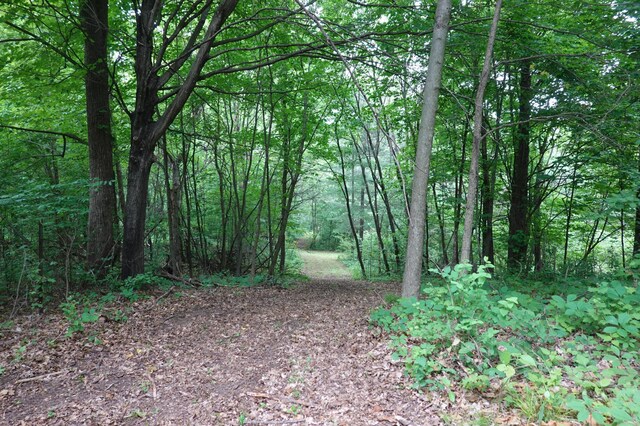 6XX US Highway 8, Apple River Twp, WI 54001