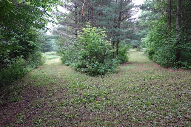6XX US Highway 8, Apple River Twp, WI 54001