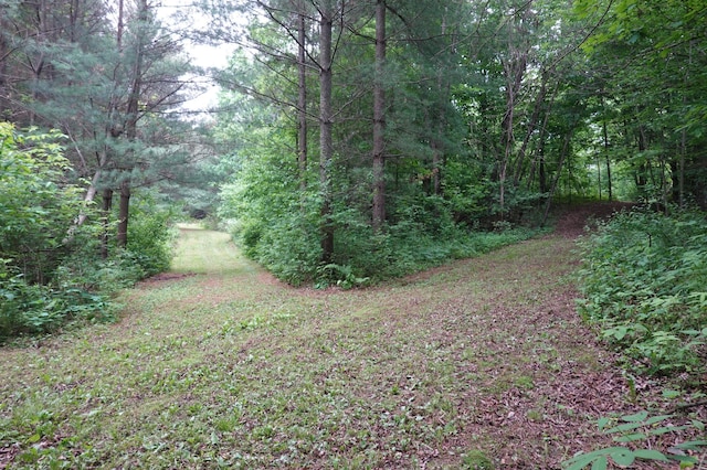6XX US Highway 8, Apple River Twp, WI 54001
