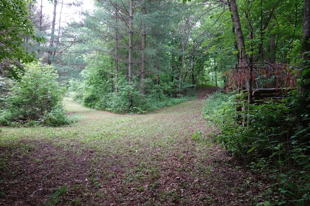 6XX US Highway 8, Apple River Twp, WI 54001