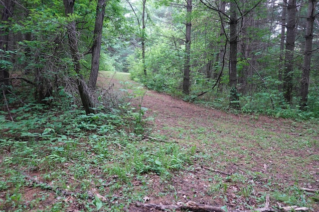 6XX US Highway 8, Apple River Twp, WI 54001