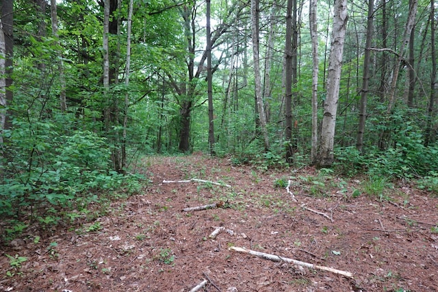 6XX US Highway 8, Apple River Twp, WI 54001