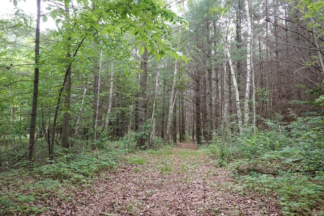 6XX US Highway 8, Apple River Twp, WI 54001