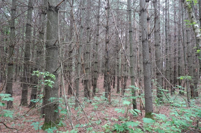 6XX US Highway 8, Apple River Twp, WI 54001