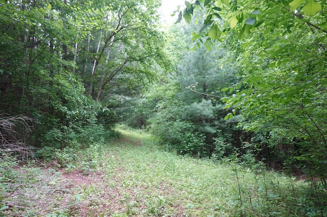 6XX US Highway 8, Apple River Twp, WI 54001