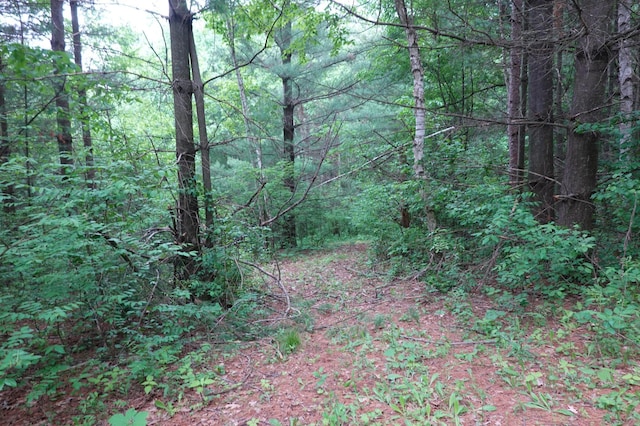 6XX US Highway 8, Apple River Twp, WI 54001