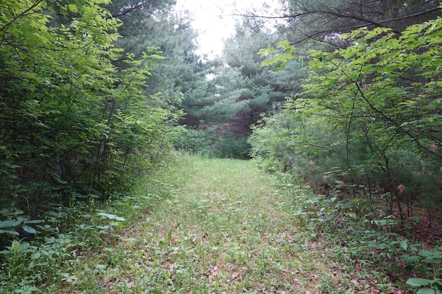 6XX US Highway 8, Apple River Twp, WI 54001