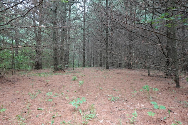 6XX US Highway 8, Apple River Twp, WI 54001