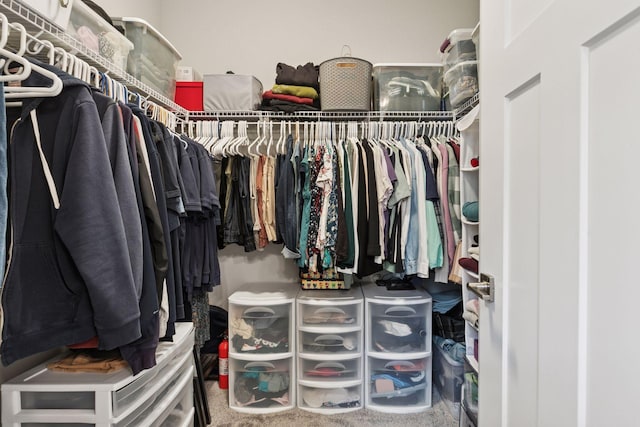 3841 Hyde Ave N, Oakdale, MN 55128 - view of spacious closet