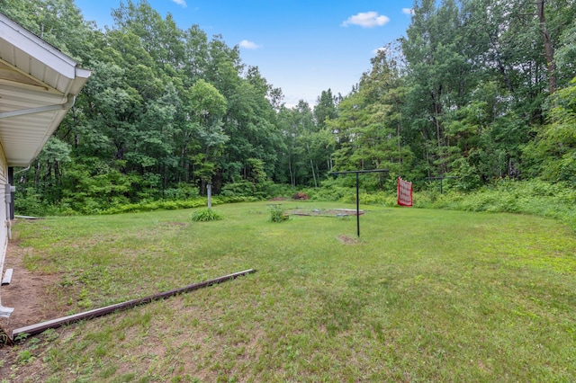 13143 County Road 116, Center Twp, MN 56465 - view of grassy yard featuring a wooded view